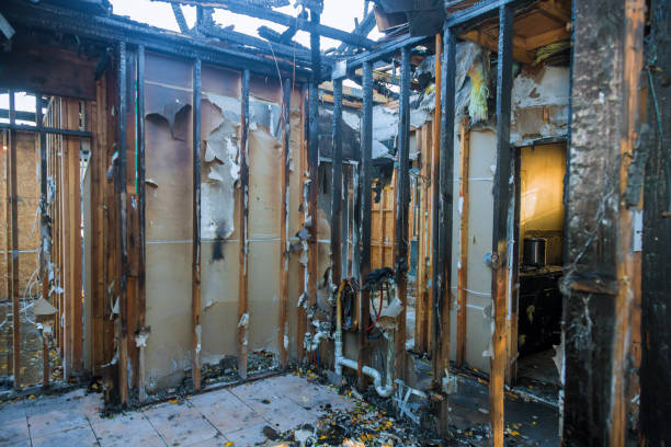 Professional Fire Damage Repair technician working in Southworth, WA